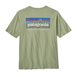 T-Shirt Patagonia Men P6 Mission Organic Salvia Green