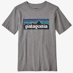T-Shirt Patagonia Boys P6 Logo Organic Gravel Heather White