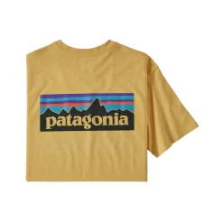 T-Shirt Patagonia Men P-6 Logo Responsibili-Tee Surfboard Yellow 2020