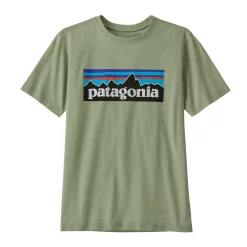 T-Shirt Patagonia Kids Regenerative Organic Certified Cotton P6 Logo Salvia Green